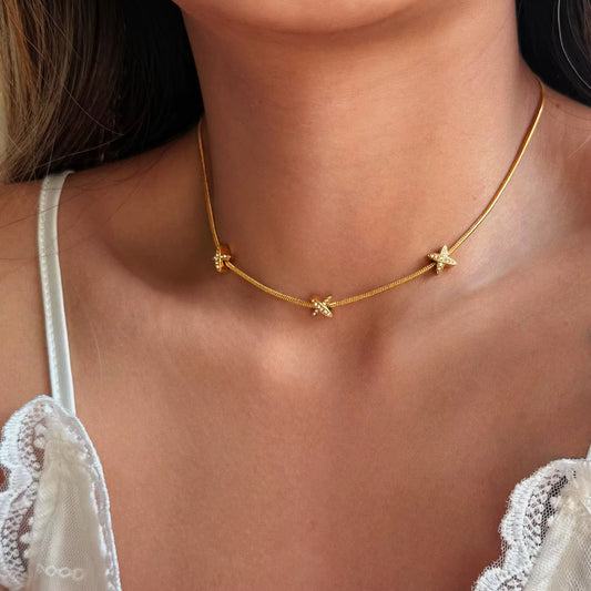 collar stellar
